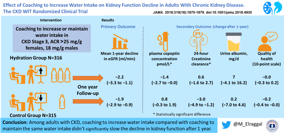 Wit-ckd Visual Abstract - Water (1000x473), Png Download
