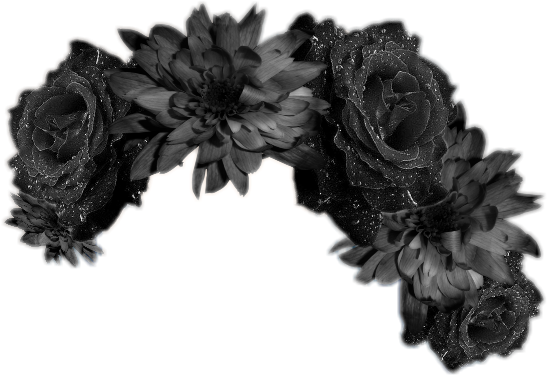 Flowercrownsticker Flowercrown Blackflowers Blac - Black Flower Crown Png (547x375), Png Download