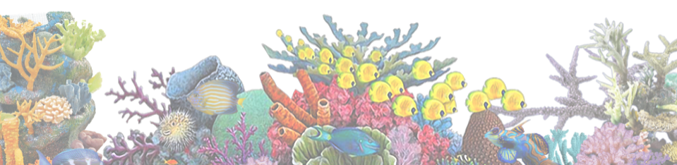 A One Of A Kind, Tropical Fish Emporium, Jungle Aquatics, - Coral (pink) Wall Decal, Home Decor Decals, (959x234), Png Download
