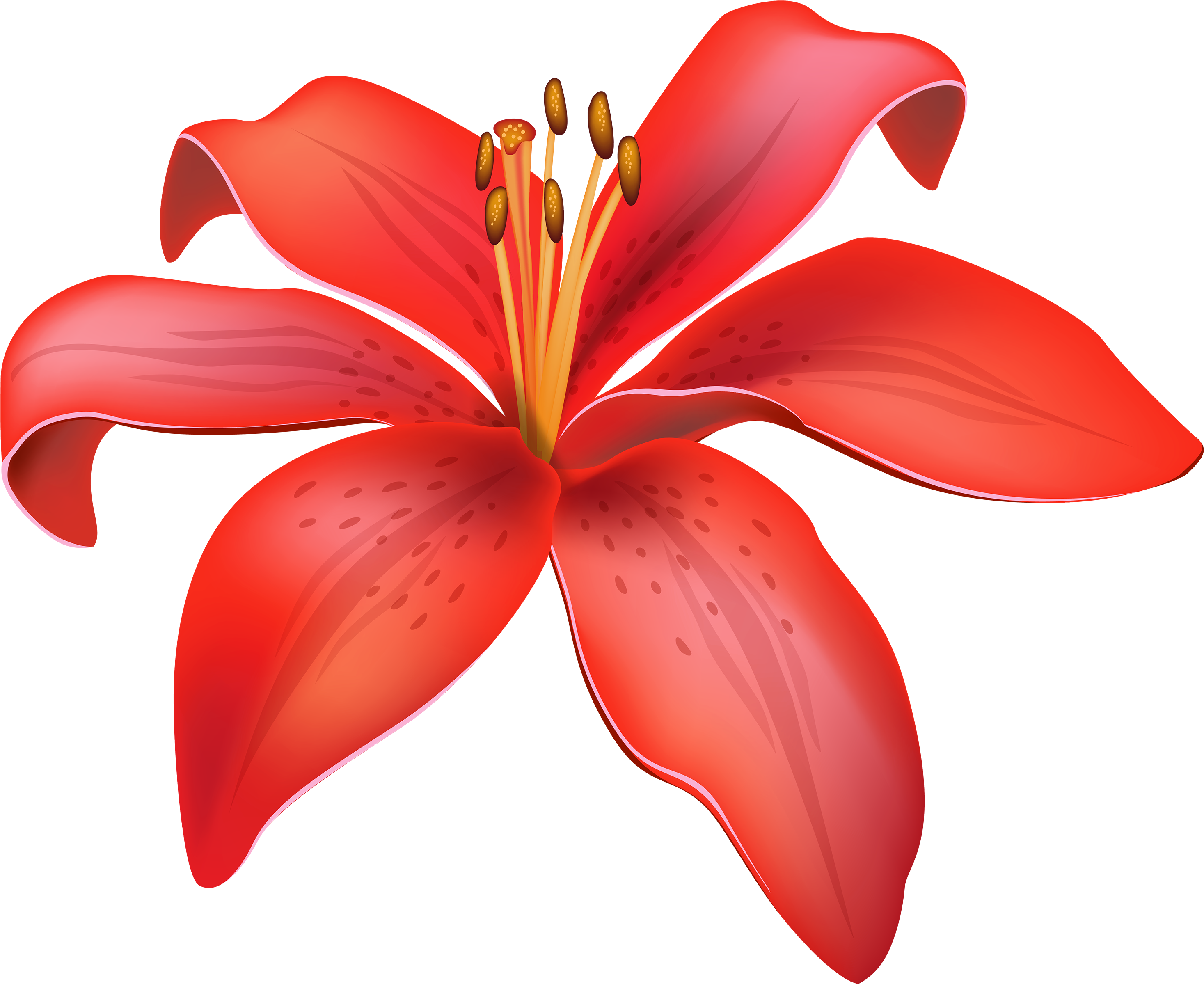 Red Lily Flower Png Clipart - Lily Clipart (3000x2484), Png Download