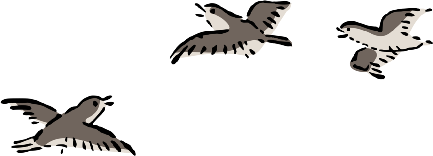 How To Set Use Birds Flying Svg Vector (600x215), Png Download