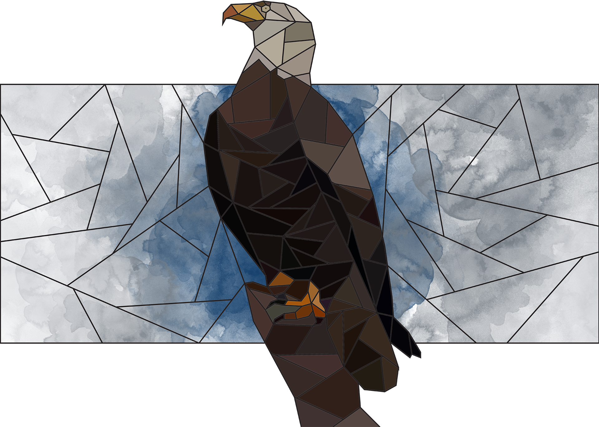 Eagle - Turkey Vulture (1920x1371), Png Download