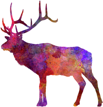 Bleed Area May Not Be Visible - James Wiens Paintings Canvas Art Prints - Golden Lodge (600x480), Png Download