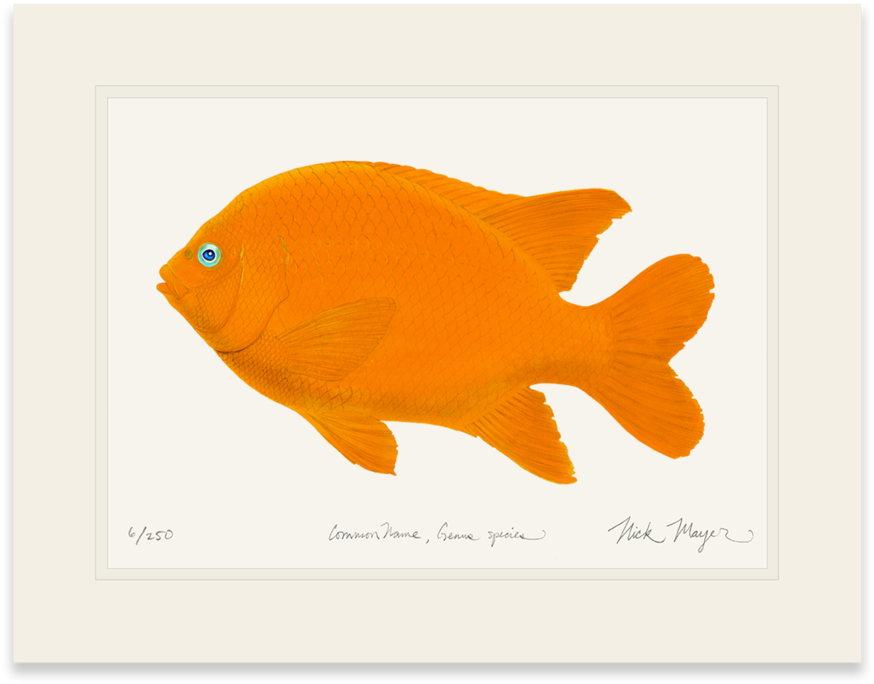 Garibaldi - Cafepress Garibaldi W Sig Rectangular Canvas Pillow (1024x855), Png Download