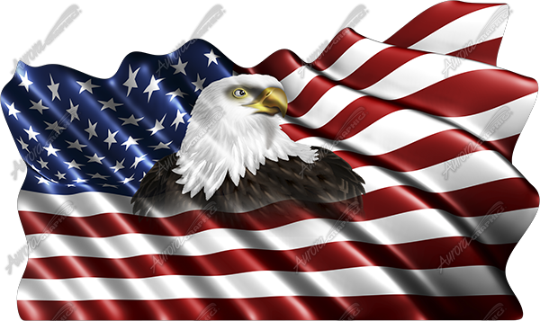 Ad8c0acc D49d 27e7 E7c6 4a01 - Waving American Flag With Eagle (600x357), Png Download