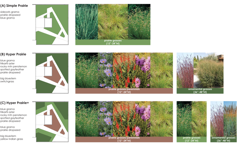 Roofdeckplanting (1000x613), Png Download