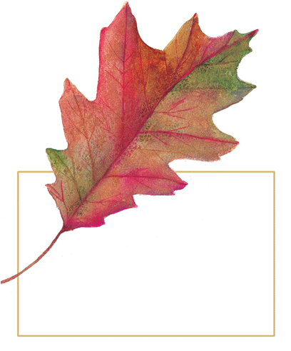 Watercolor Leaves Die-cut Place Cards 96 Ct - Caspari Watercolor Leaves Diecut Place Cards (407x500), Png Download