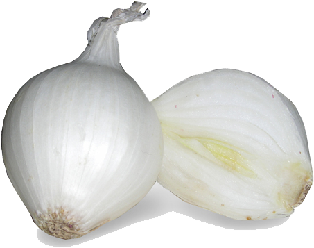 White Onion Png Image - White Onion (467x383), Png Download