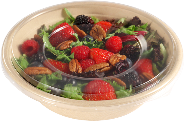Molded Fiber Packaging Is Becoming Very Popular As - Bowl (620x412), Png Download