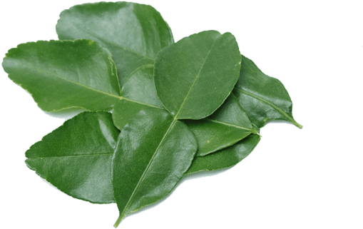 Makrut Lime Leaves - Бергамот Лист (600x389), Png Download