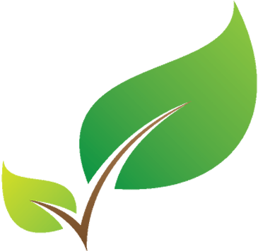 Tree Services - Online Shopping (438x387), Png Download