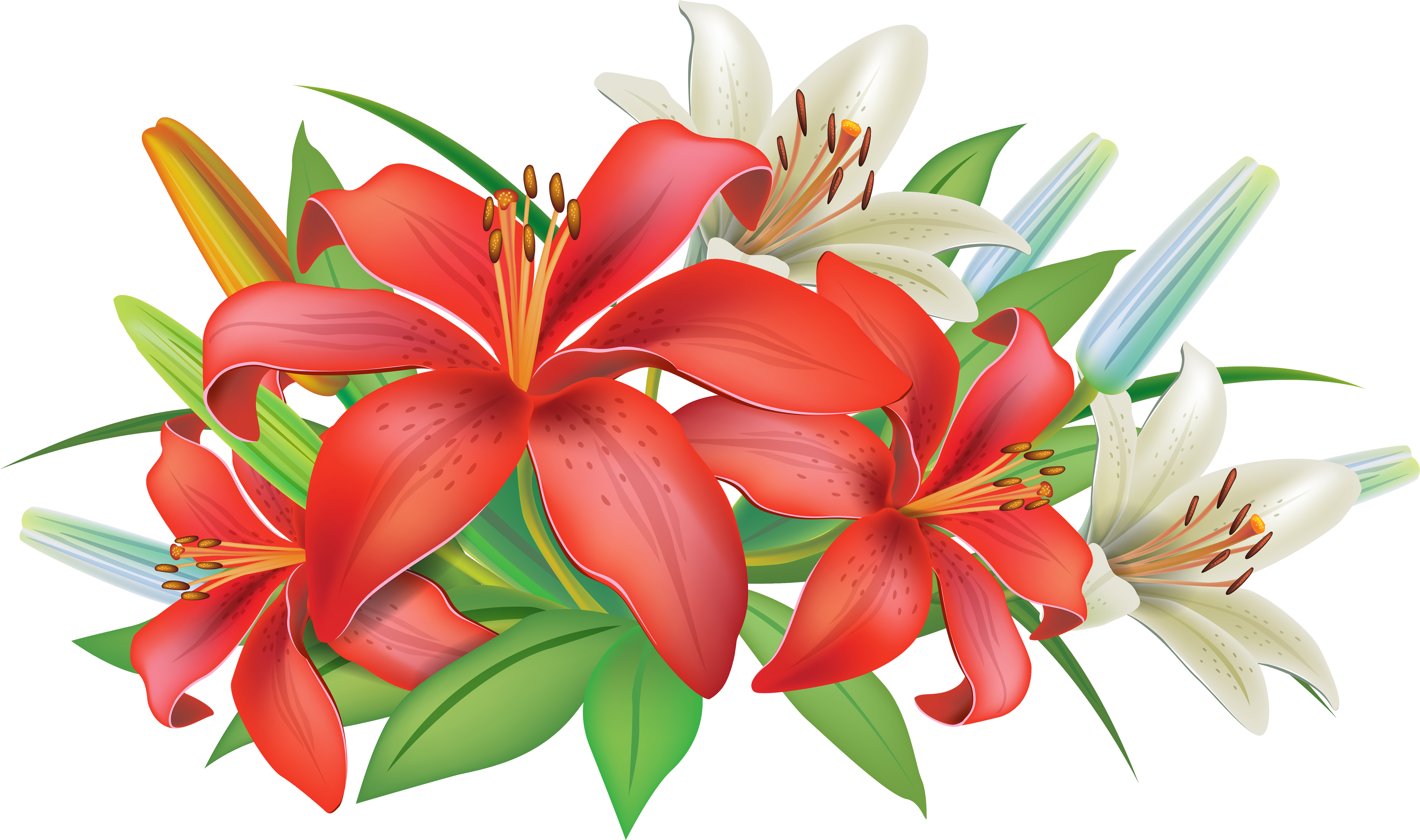 Banner Library Easter Lily Clipart - Lily Flower Clip Art (5000x2958), Png Download