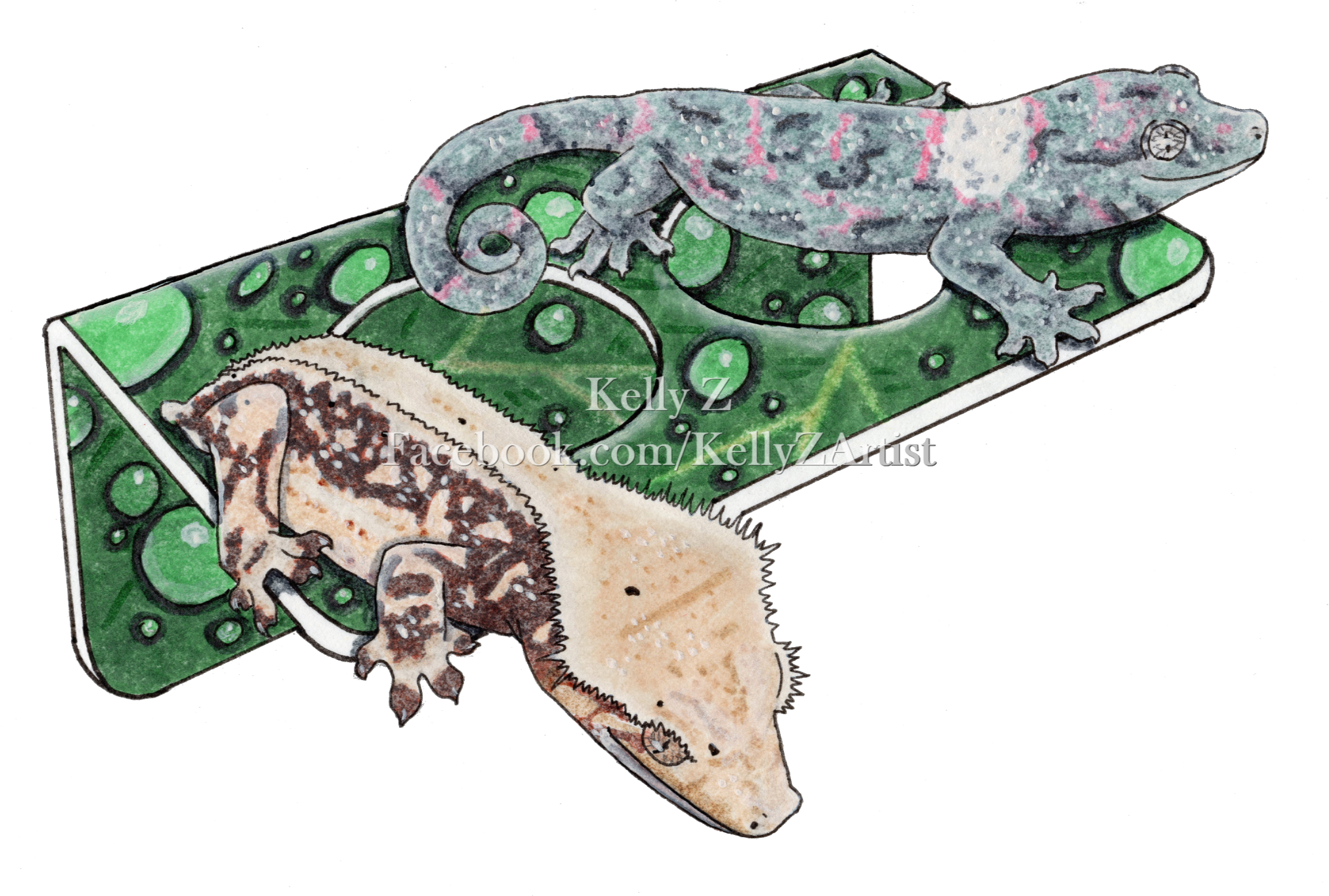 C3 Ledges Custom Illustration - Illustration (2400x1647), Png Download