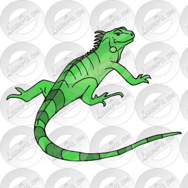 Collection Of Free Iguana Drawing Zoo Animal Download - Clip Art (380x380), Png Download