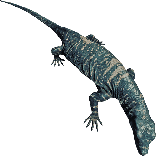 Lizard (500x500), Png Download