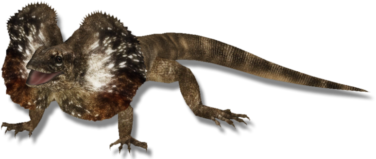 Lizardfrillnecked Zerosvalmont - Frilled-neck Lizard (774x774), Png Download