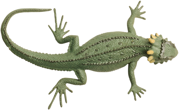 Lizard Png - Lizard Tail Png (599x368), Png Download