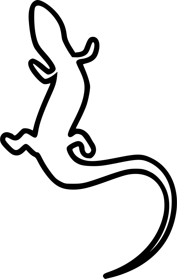 Lizard Comments - Lizard (624x980), Png Download