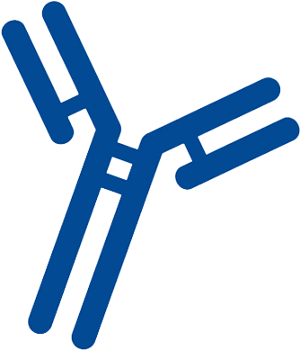 Antibody - School (400x400), Png Download