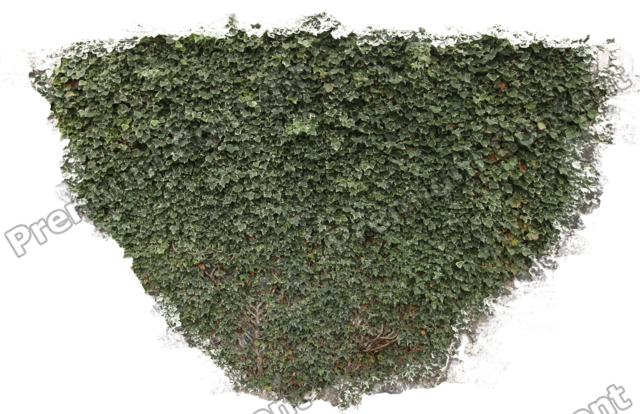 Plants Decals - Texture Mapping (640x414), Png Download