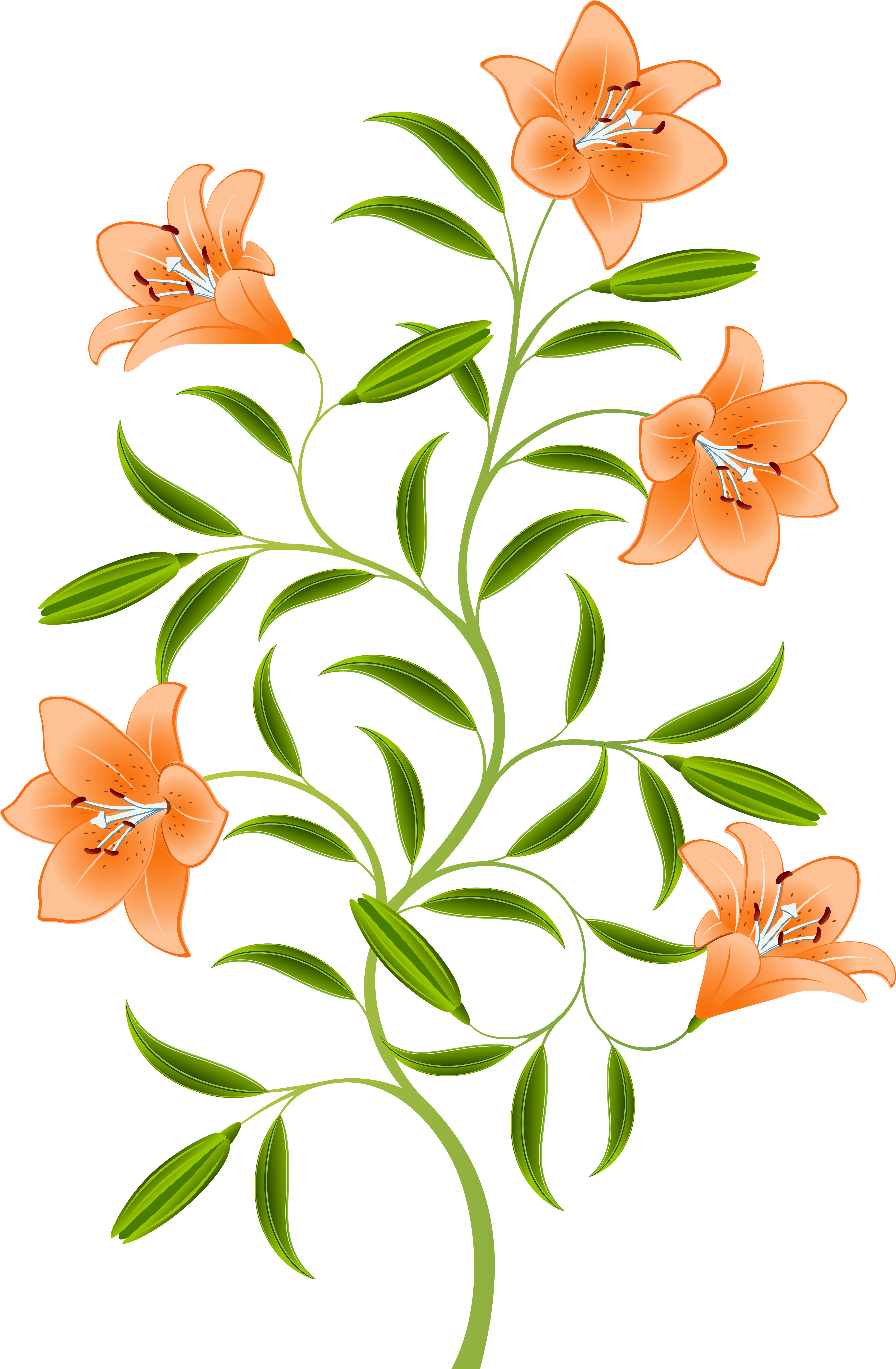 Orange And Green Flowers Png (5256x8000), Png Download