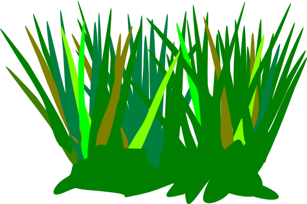 Green Tuft Clip Art At Clker Com - Grass Tuft Clipart (600x399), Png Download