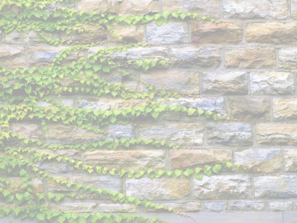Ivy Wall Only (1000x750), Png Download
