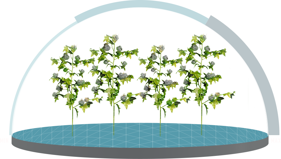 A Wider Spectrum Of Worm Control - Cotton (908x513), Png Download