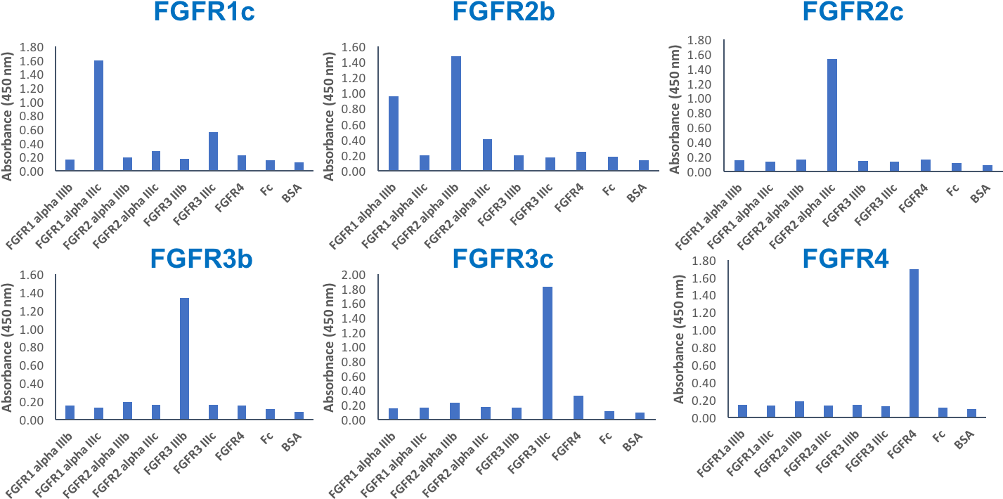 Isoform-specificity Of The Fgfr Antibody Panel - Diagram (1492x748), Png Download