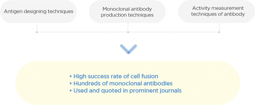 What Is A Monoclonal Antibody - Atgen (860x354), Png Download