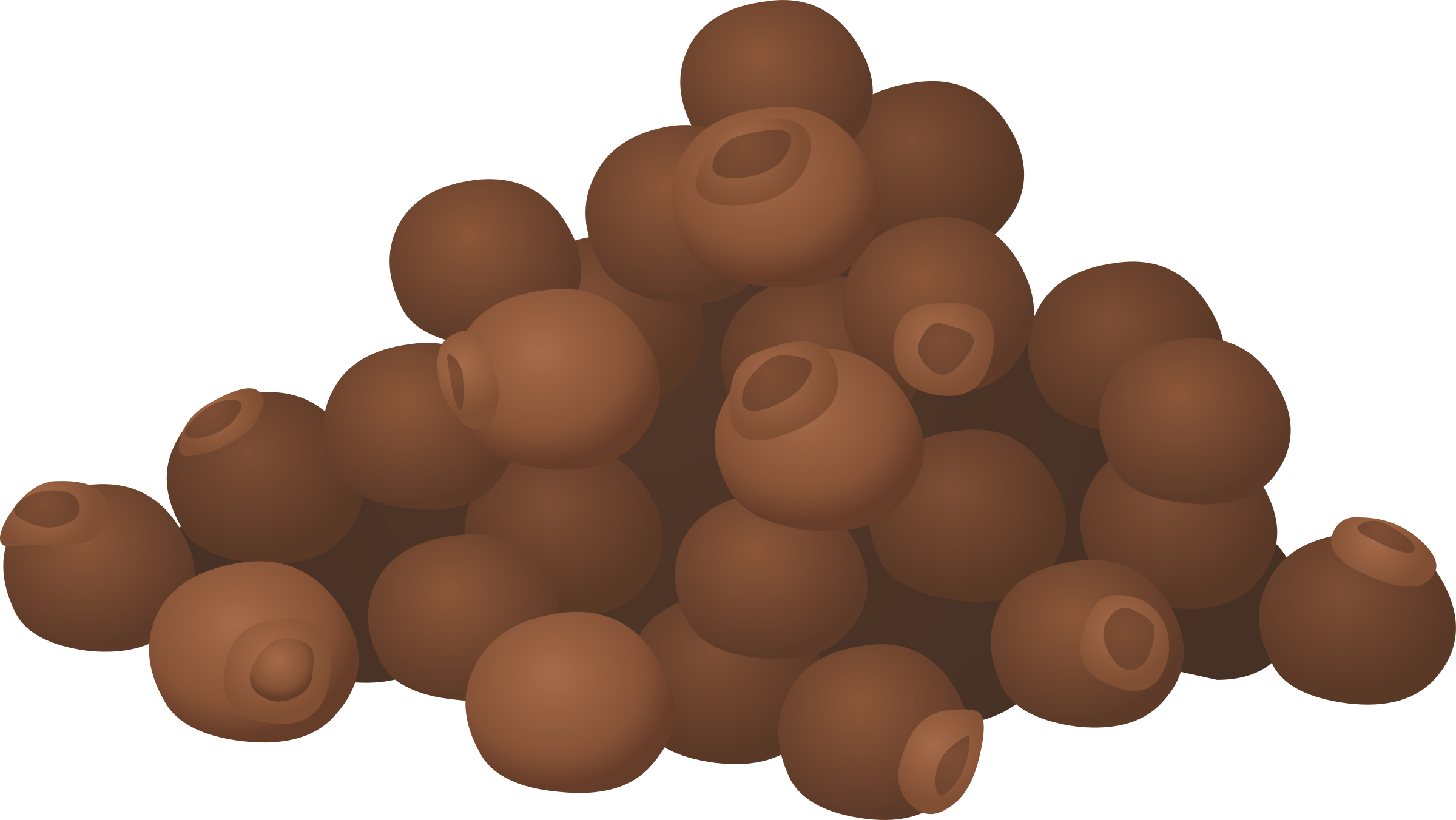 This Free Icons Png Design Of Spice All Spice (2400x1352), Png Download