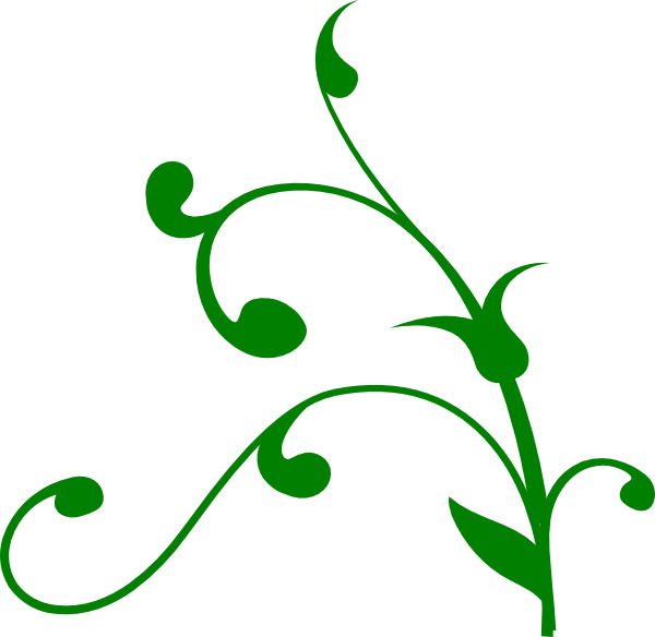Twisted Vine (600x584), Png Download