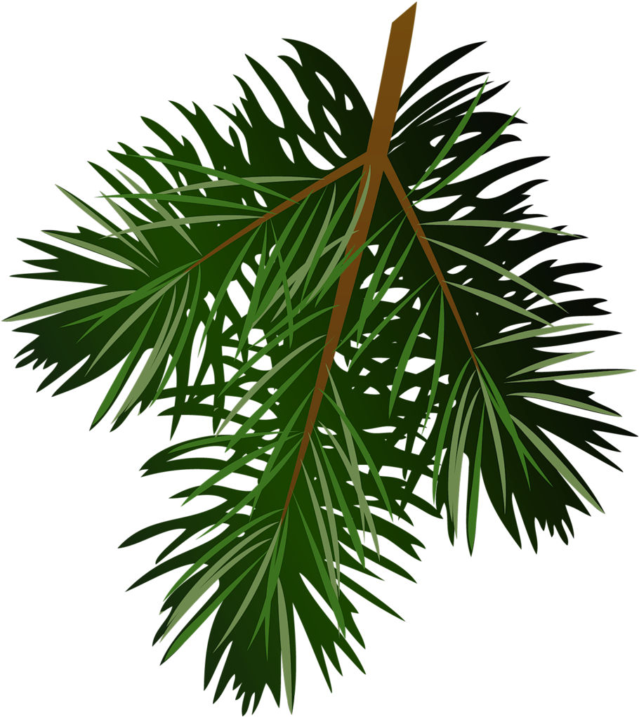 Pine Branch Silhouette 21 - Clip Art Transparent Pine Cone (940x1040), Png Download