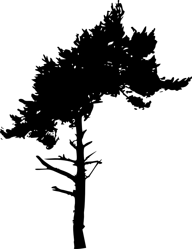 Png Image Information - Portable Network Graphics (789x1024), Png Download