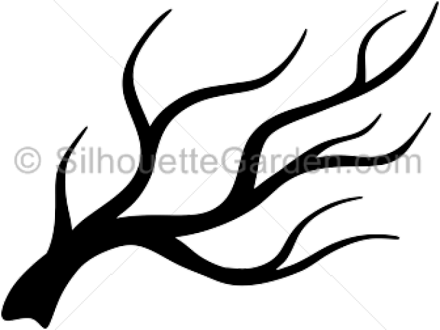 Silhouettes Clipart Tree Branch - Clip Art (640x480), Png Download