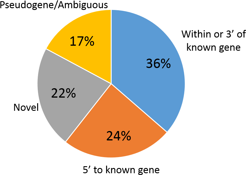22 On A Pie Chart (1015x653), Png Download