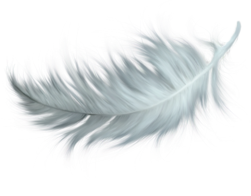 Download White Feather Tattoos Feather Pen Tattoo Feather White Feathers Falling Png Full Size Png Image Pngkit