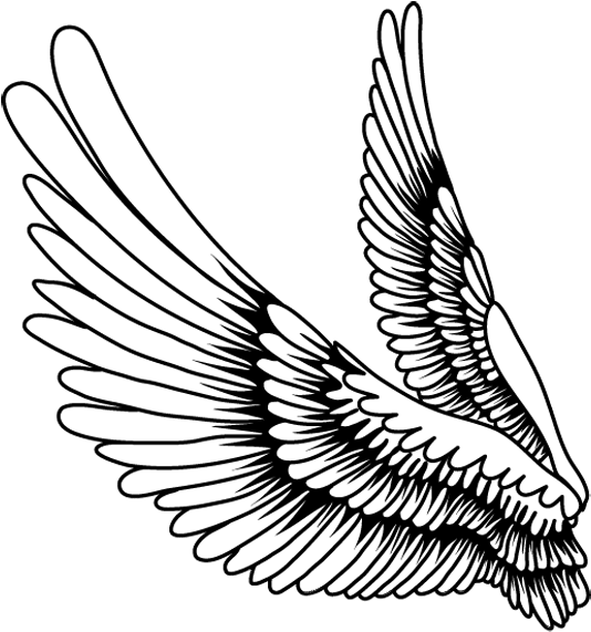Svg Library Download Drawing Bird Falling - Alas Dibujo (578x600), Png Download