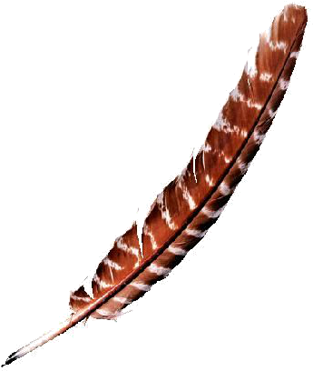 Quill - Harry Potter - Hogwarts Writing Quill With Ink Pot (364x422), Png Download