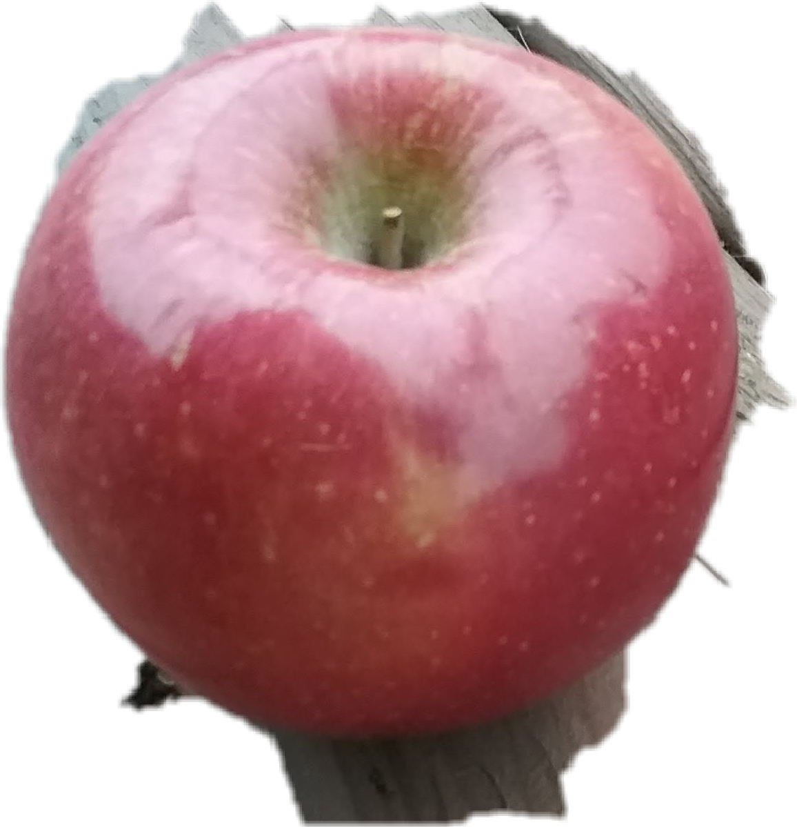 Poisonedapple Thefamilyof Evilqueen Snowwhite Descendants - Mcintosh (1156x1199), Png Download
