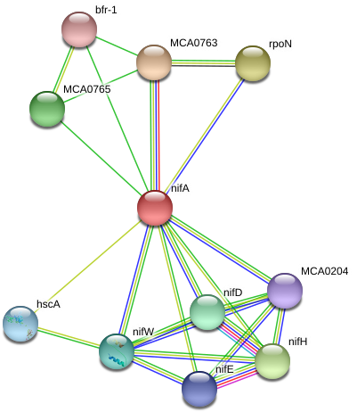 Circle (975x498), Png Download