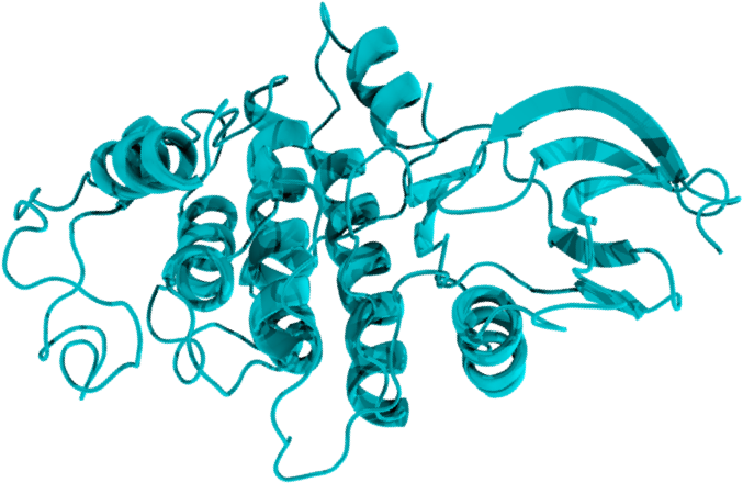 We Offer Custom Bams Assay Development Services To - Graphic Design (719x499), Png Download