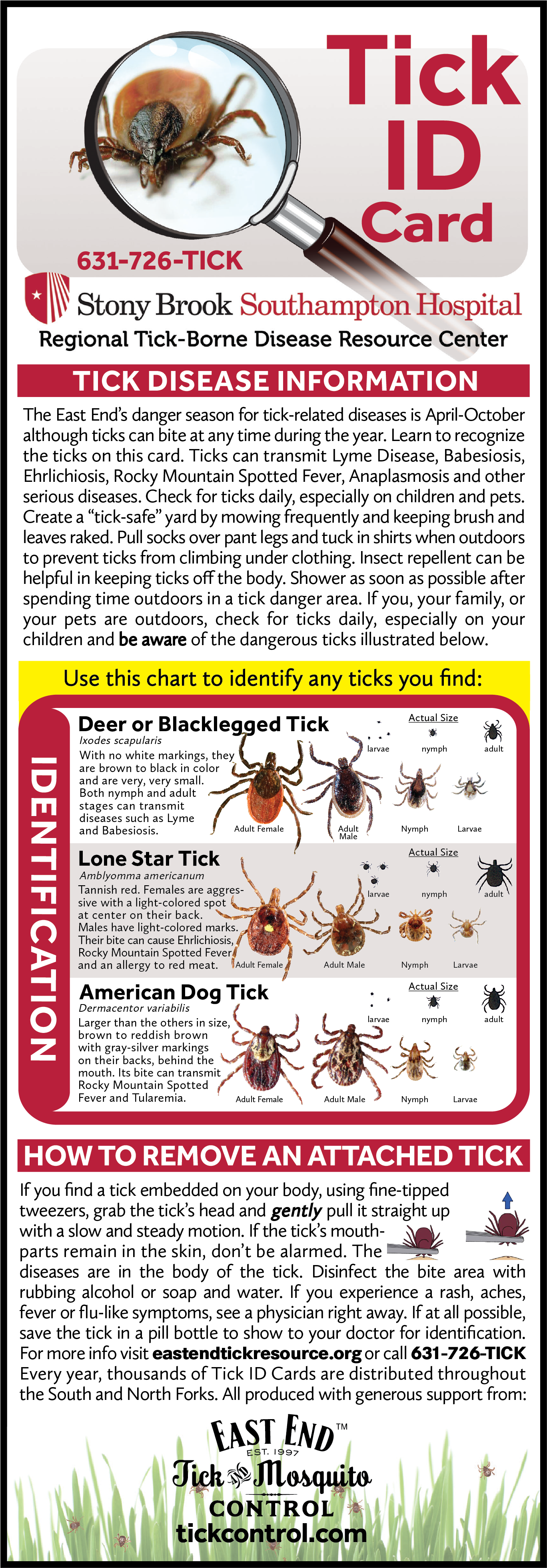 Tick Types On Long Island - Deer Tick (1375x3917), Png Download