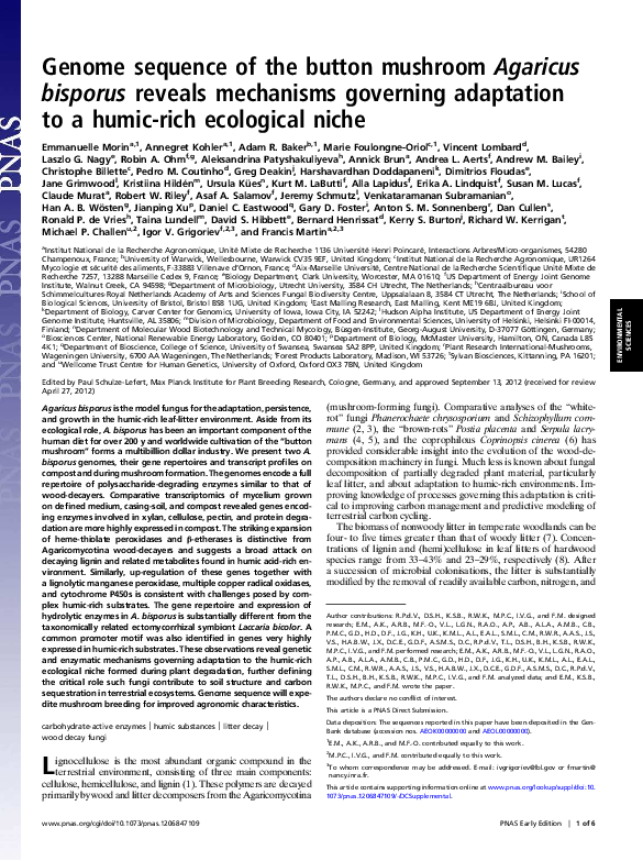 Document (585x783), Png Download