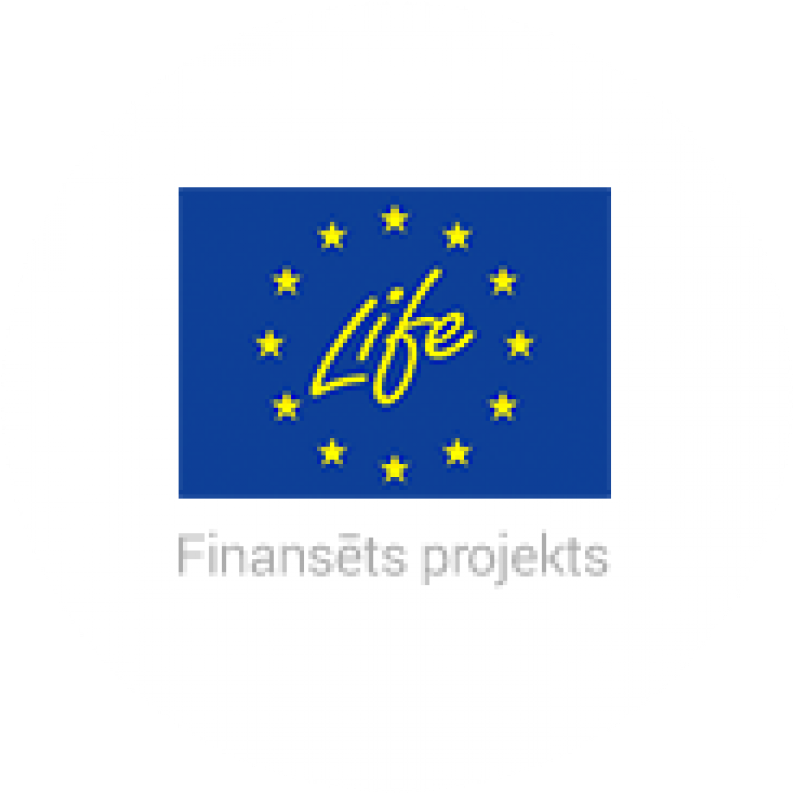 Life-800x - Life Programme (800x800), Png Download
