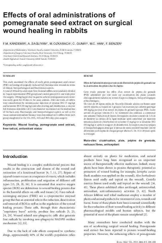 Pdf - Folio Six From Burchard Of Sion's De Locis Ac Mirabilibus (595x842), Png Download