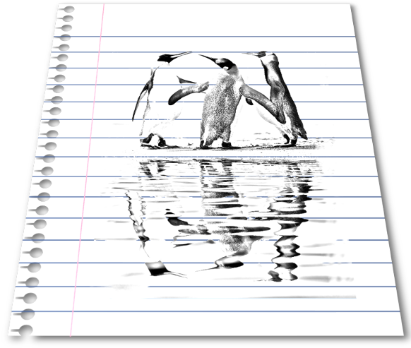 Already Had The Line And Hole Brushes Made Opened Penguin - Emperor Penguin (600x609), Png Download
