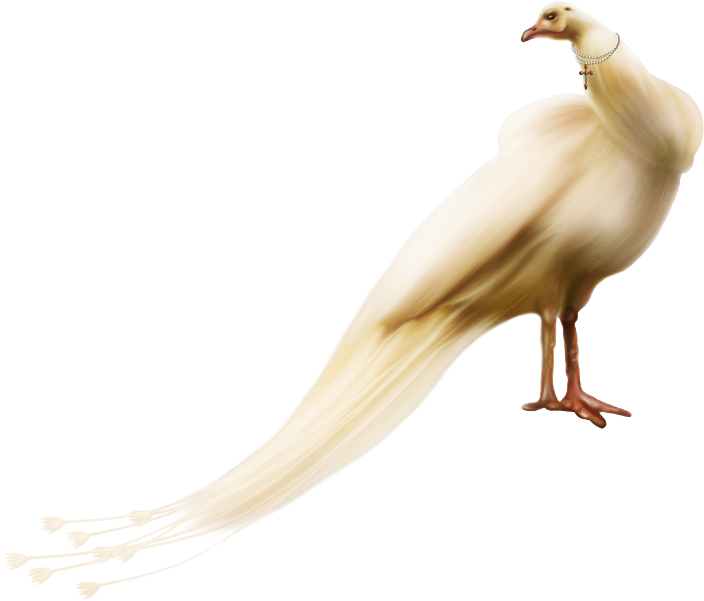 Waterfowl (803x684), Png Download