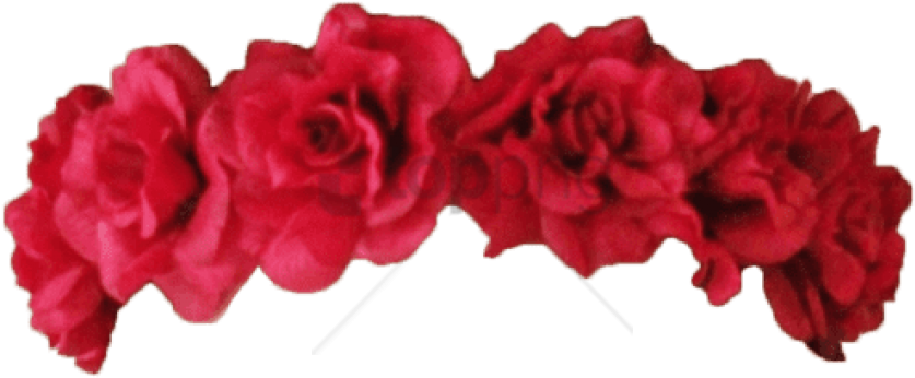 Flower Crown Transparent Overlay Png Image With Transparent - Red Flower Crown Png (850x488), Png Download
