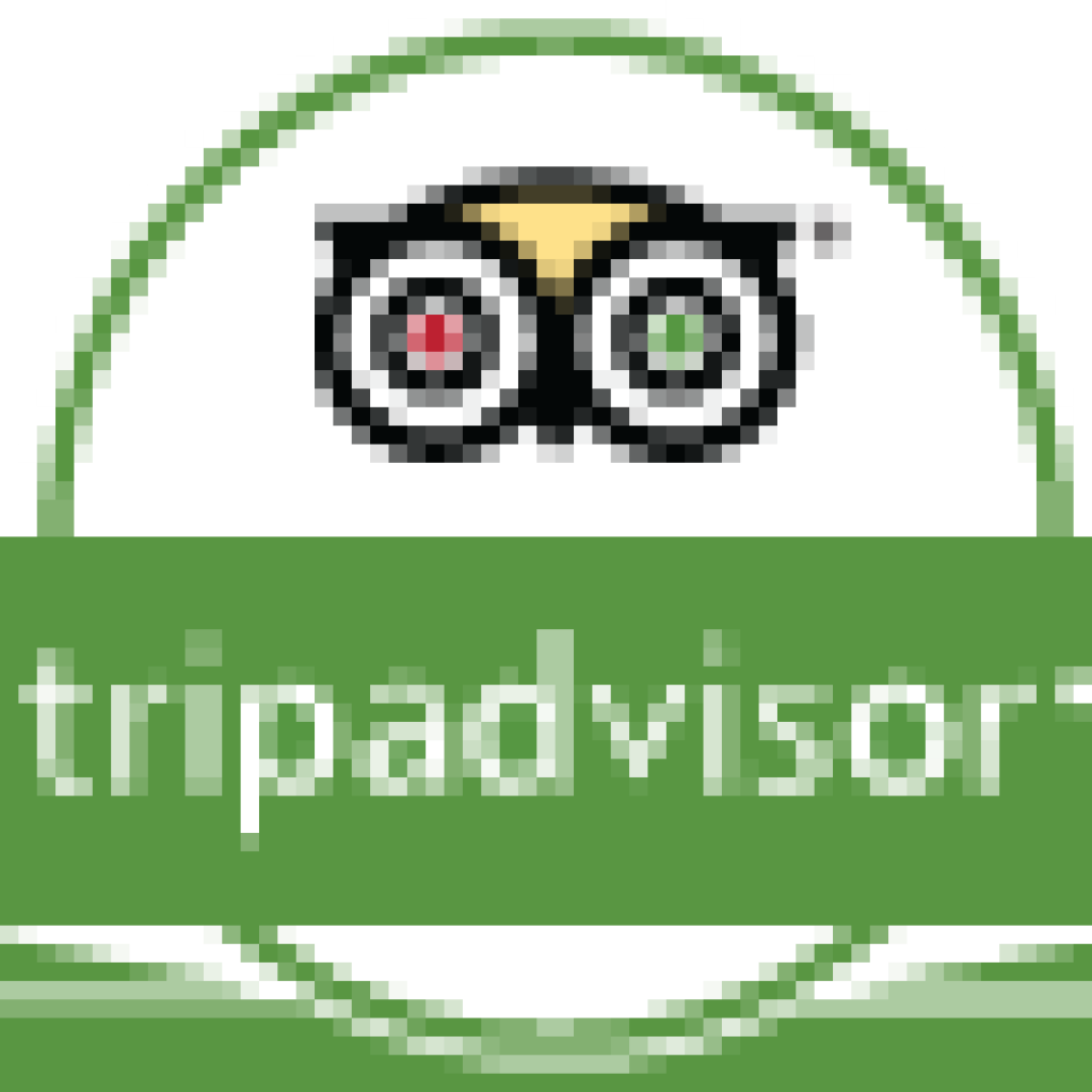 Trip Advisor Png - Tripadvisor (1024x1024), Png Download